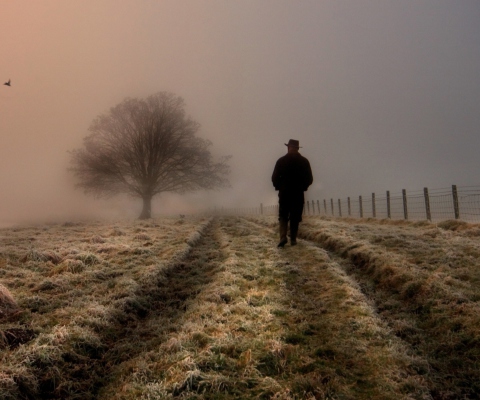 Lonely Man Walking In Field wallpaper 480x400