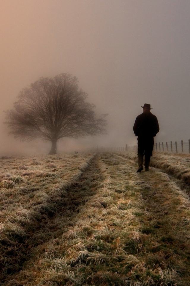 Lonely Man Walking In Field wallpaper 640x960