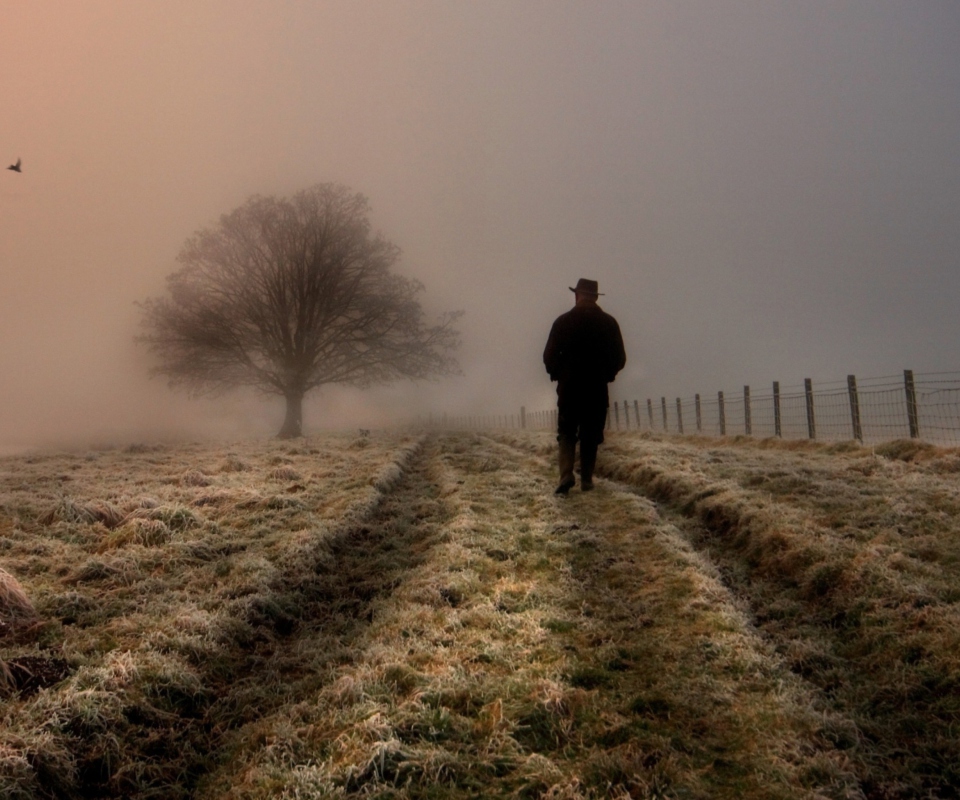 Обои Lonely Man Walking In Field 960x800