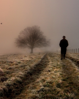 Lonely Man Walking In Field Picture for Nokia Asha 306