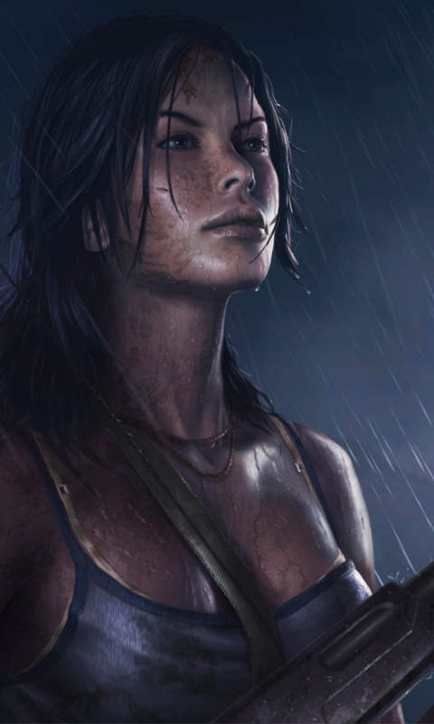 Fondo de pantalla Tomb Raider 480x800