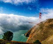 Fondo de pantalla Golden Gate Bridge in Fog 176x144