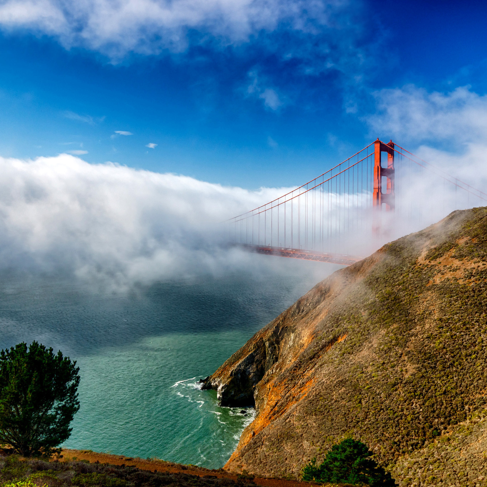 Обои Golden Gate Bridge in Fog 2048x2048
