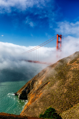 Golden Gate Bridge in Fog wallpaper 320x480