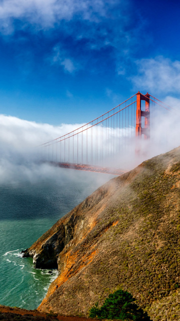 Golden Gate Bridge in Fog wallpaper 360x640