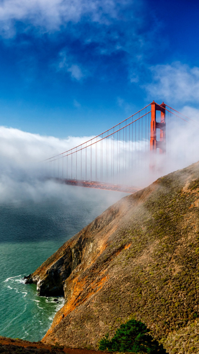 Обои Golden Gate Bridge in Fog 640x1136