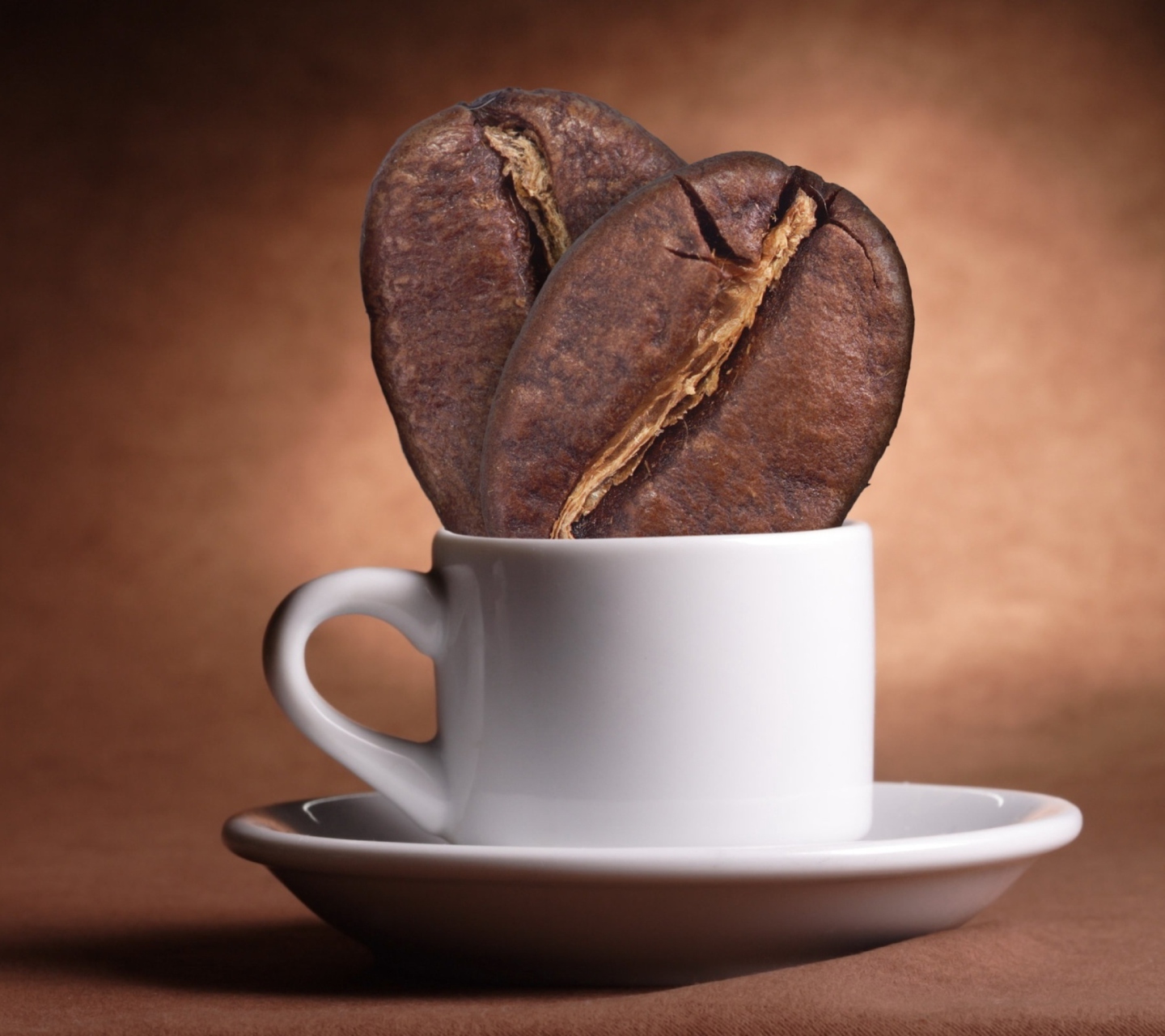 Sfondi Morning Coffee 1440x1280