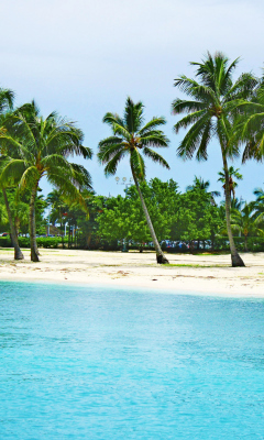 Bahamas Beach screenshot #1 240x400