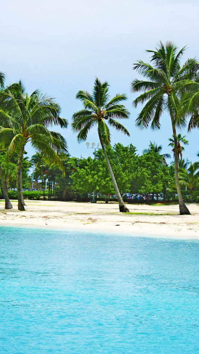 Bahamas Beach screenshot #1 640x1136