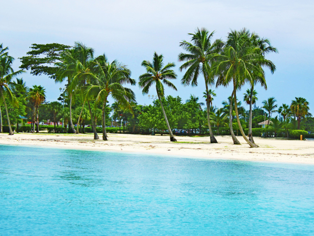 Обои Bahamas Beach 640x480