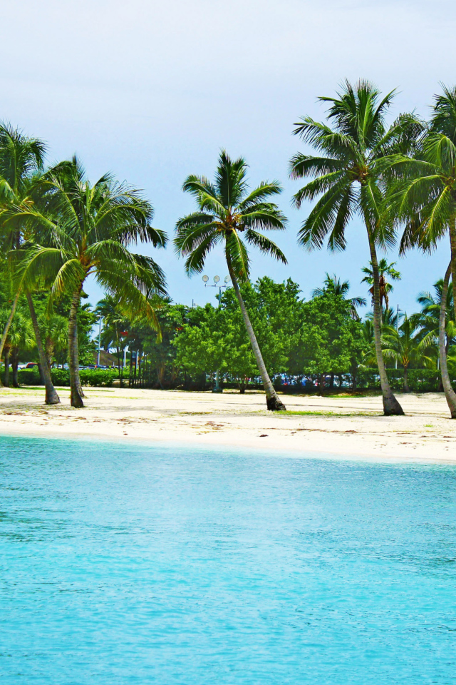 Sfondi Bahamas Beach 640x960