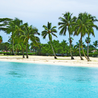 Картинка Bahamas Beach на iPad 3