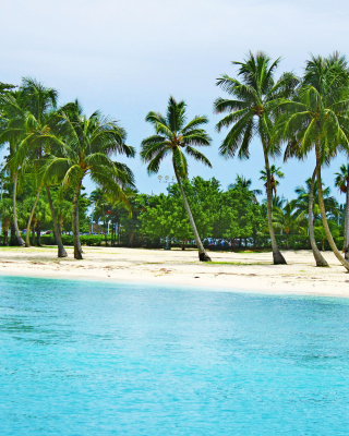 Bahamas Beach Background for 240x320