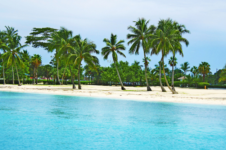 Fondo de pantalla Bahamas Beach