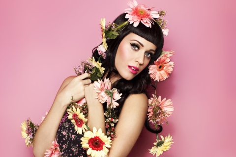 Sfondi Katy Perry - The One That Got Away 480x320