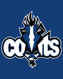 Das Indianapolis Colts Logo Wallpaper 128x160