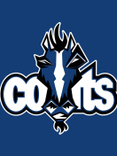 Screenshot №1 pro téma Indianapolis Colts Logo 132x176