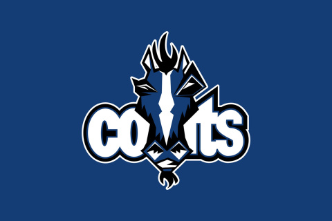 Das Indianapolis Colts Logo Wallpaper 480x320