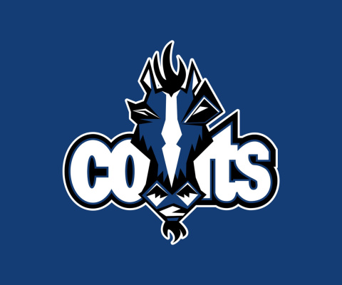 Indianapolis Colts Logo wallpaper 480x400