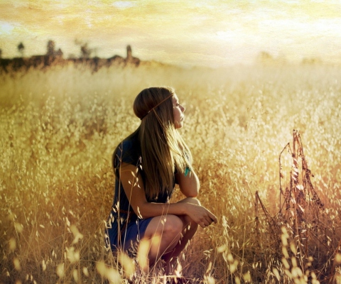 Blonde Girl In Summer Field screenshot #1 480x400
