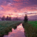 Cold Morning Pink Sky wallpaper 128x128