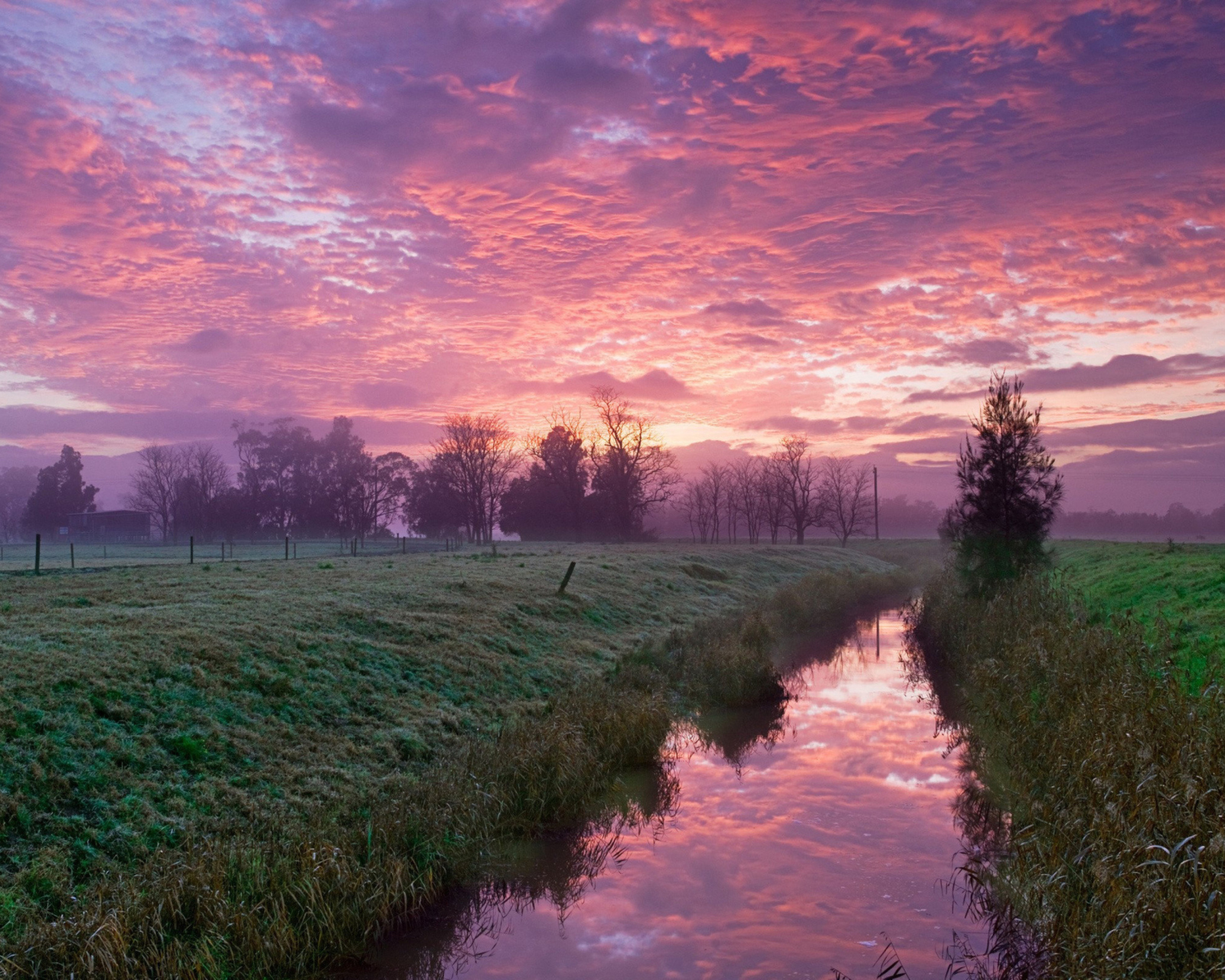 Das Cold Morning Pink Sky Wallpaper 1600x1280