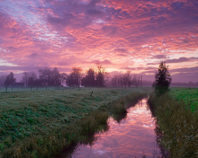 Cold Morning Pink Sky wallpaper 220x176