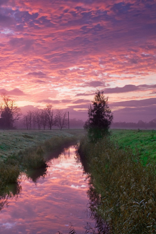 Cold Morning Pink Sky wallpaper 320x480