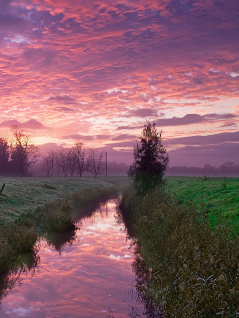 Cold Morning Pink Sky wallpaper 480x640