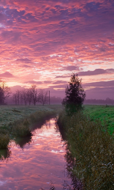 Das Cold Morning Pink Sky Wallpaper 480x800