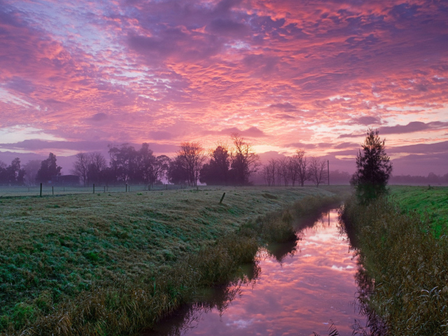 Cold Morning Pink Sky wallpaper 640x480