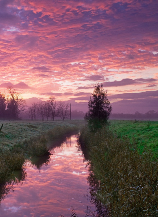 Cold Morning Pink Sky sfondi gratuiti per Nokia Lumia 925