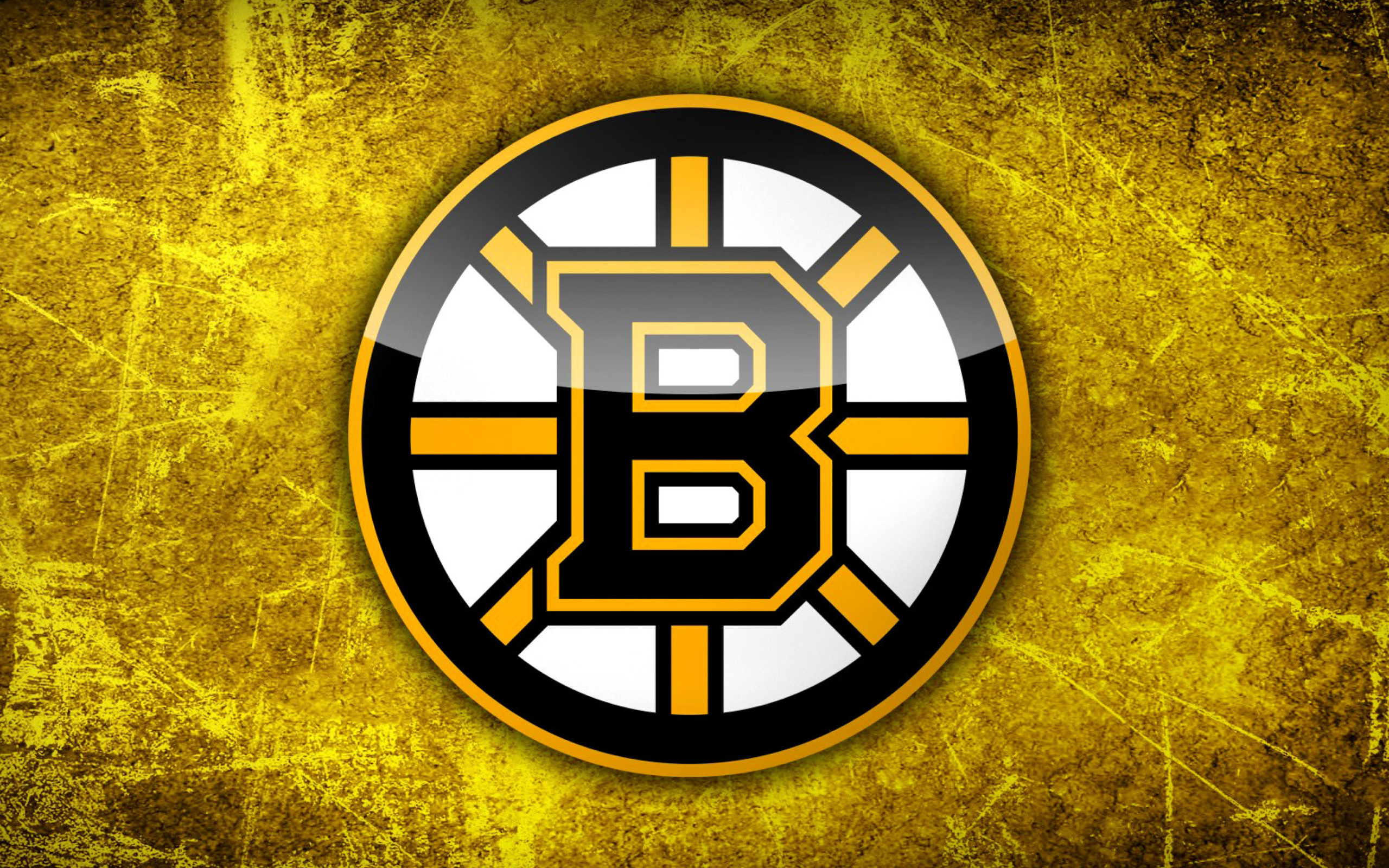 Boston Bruins NHL wallpaper 2560x1600