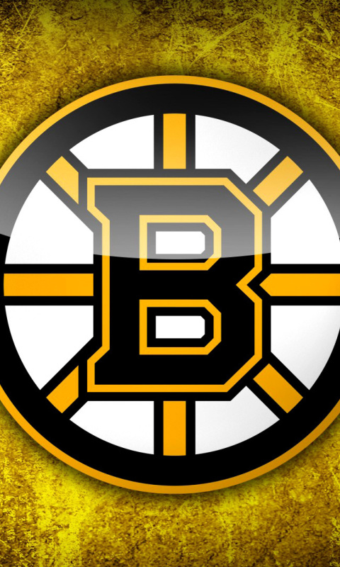 Boston Bruins NHL wallpaper 480x800