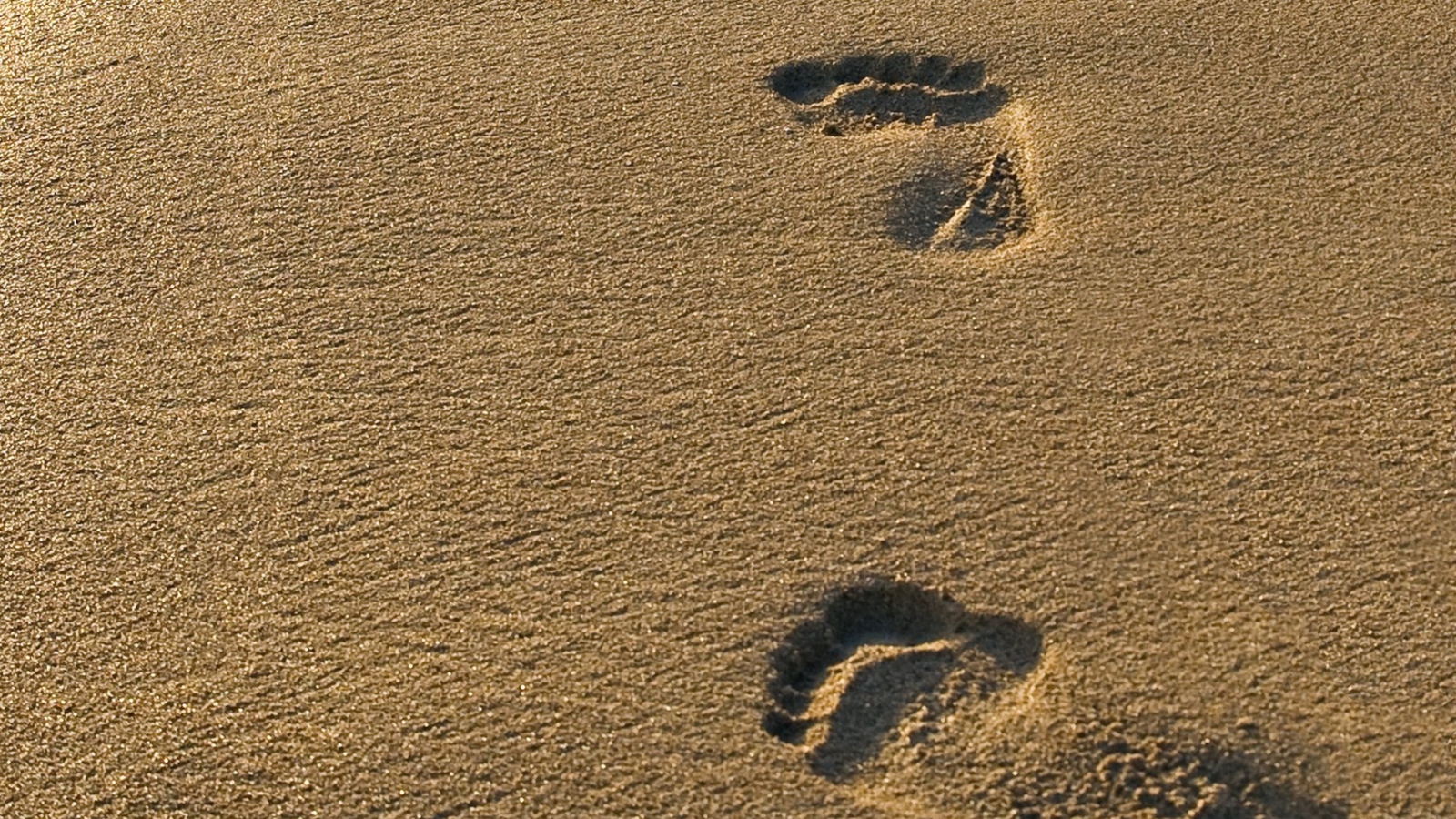 Fondo de pantalla Footprints On Sand 1600x900