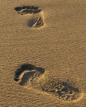 Das Footprints On Sand Wallpaper 176x220