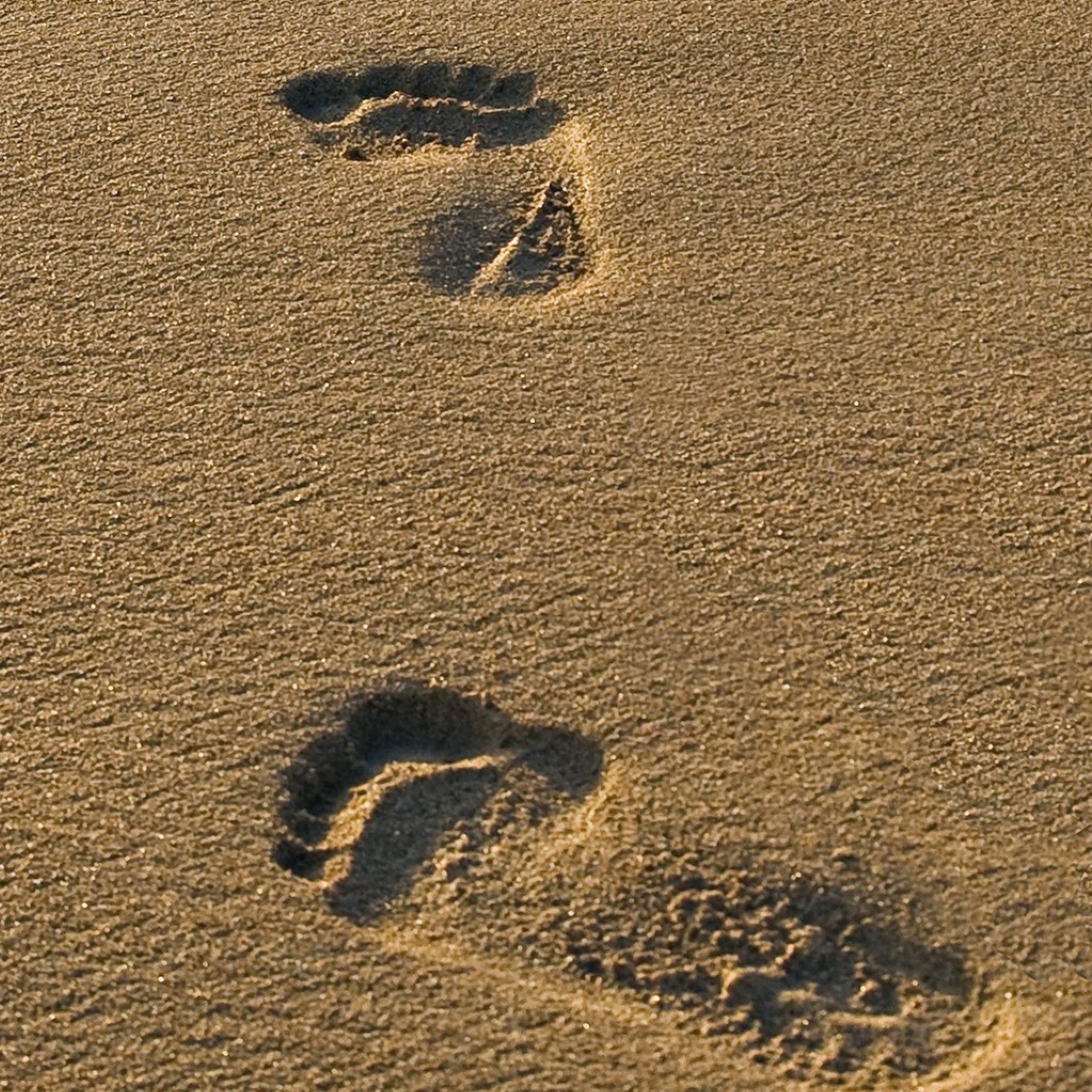 Fondo de pantalla Footprints On Sand 2048x2048