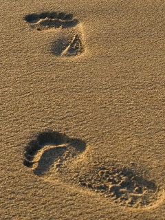 Обои Footprints On Sand 240x320