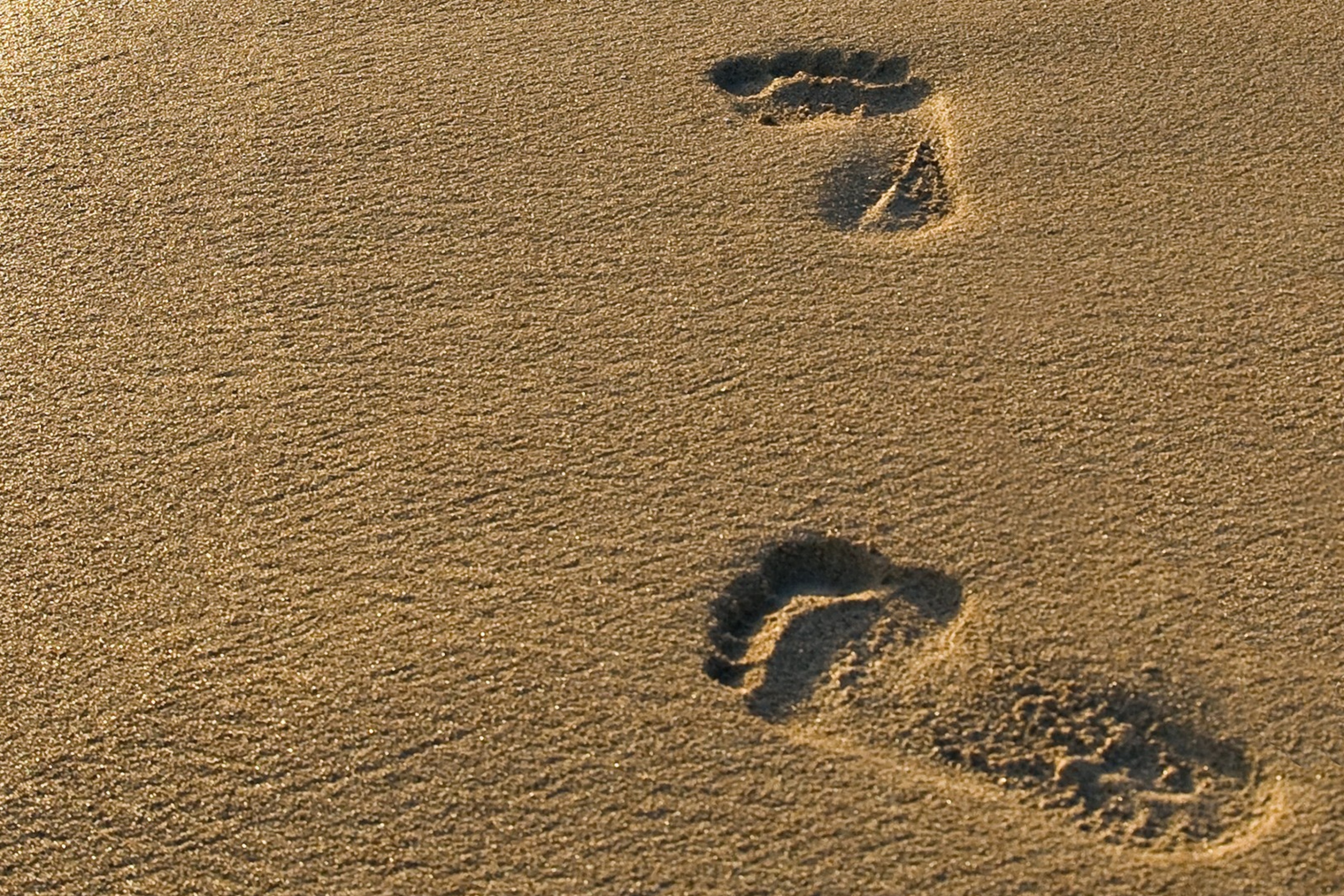 Footprints On Sand screenshot #1 2880x1920
