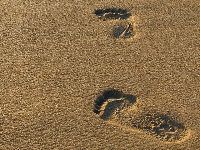 Обои Footprints On Sand 640x480