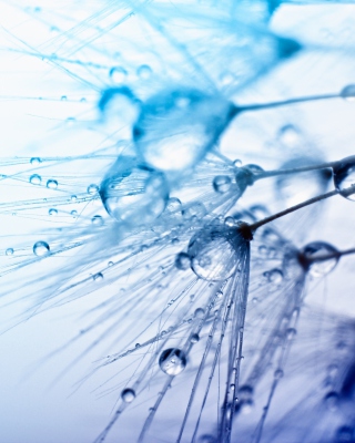 Macro Water Drops - Obrázkek zdarma pro Nokia C7