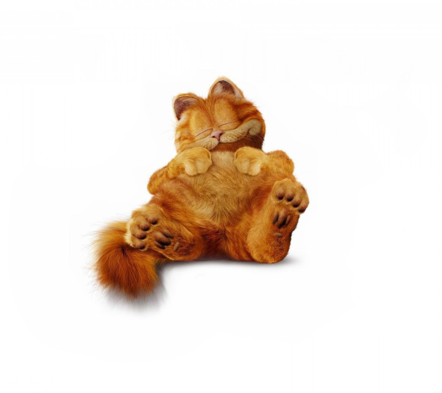 Das Lazy Garfield Wallpaper 1440x1280