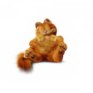 Lazy Garfield - Obrázkek zdarma pro 1024x1024