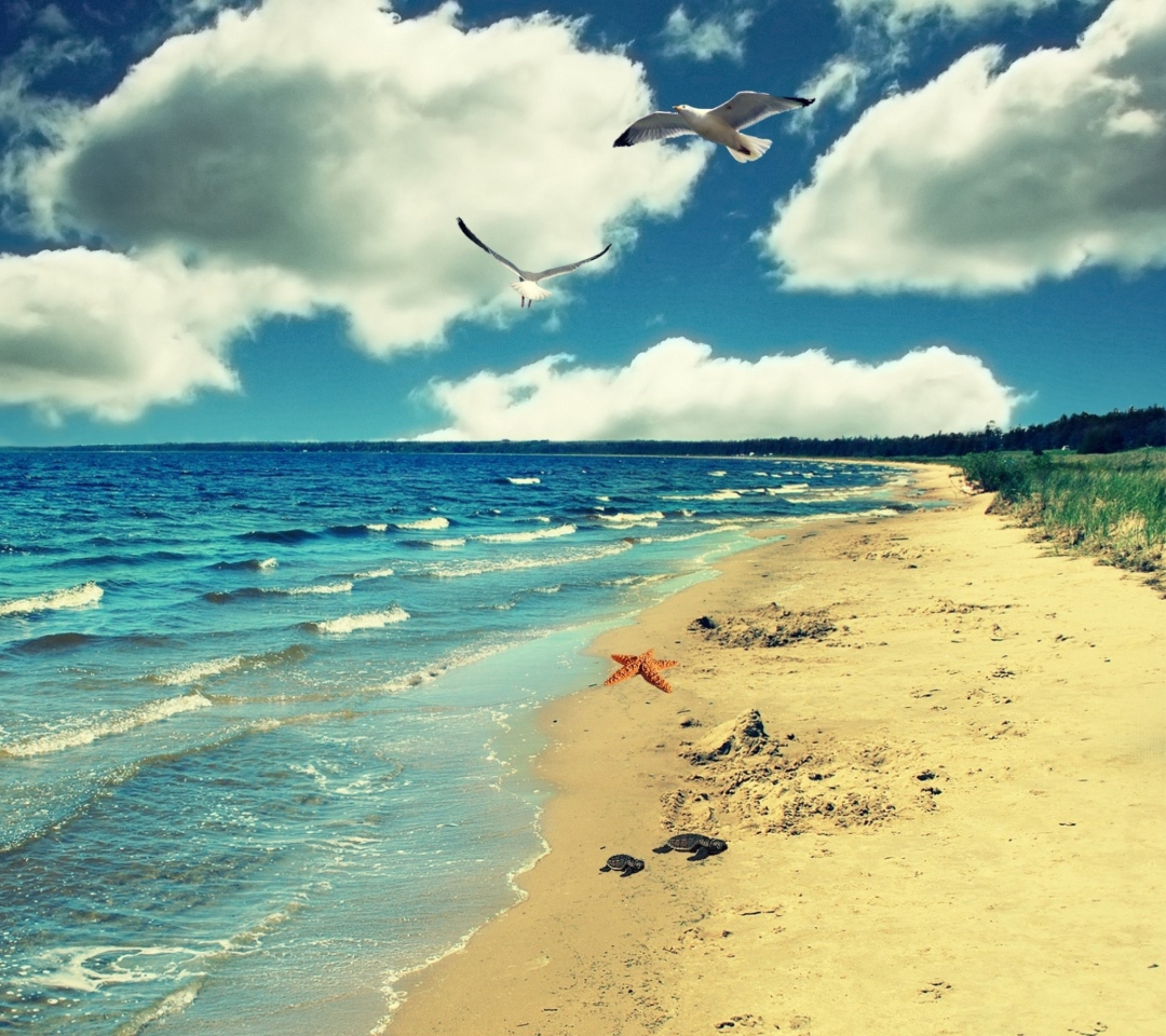 Обои Perfect Ocean Beach 1080x960