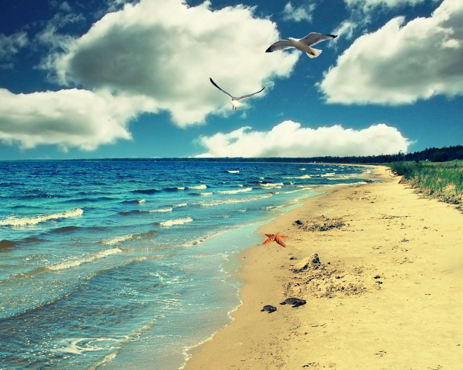 Perfect Ocean Beach screenshot #1 1600x1280