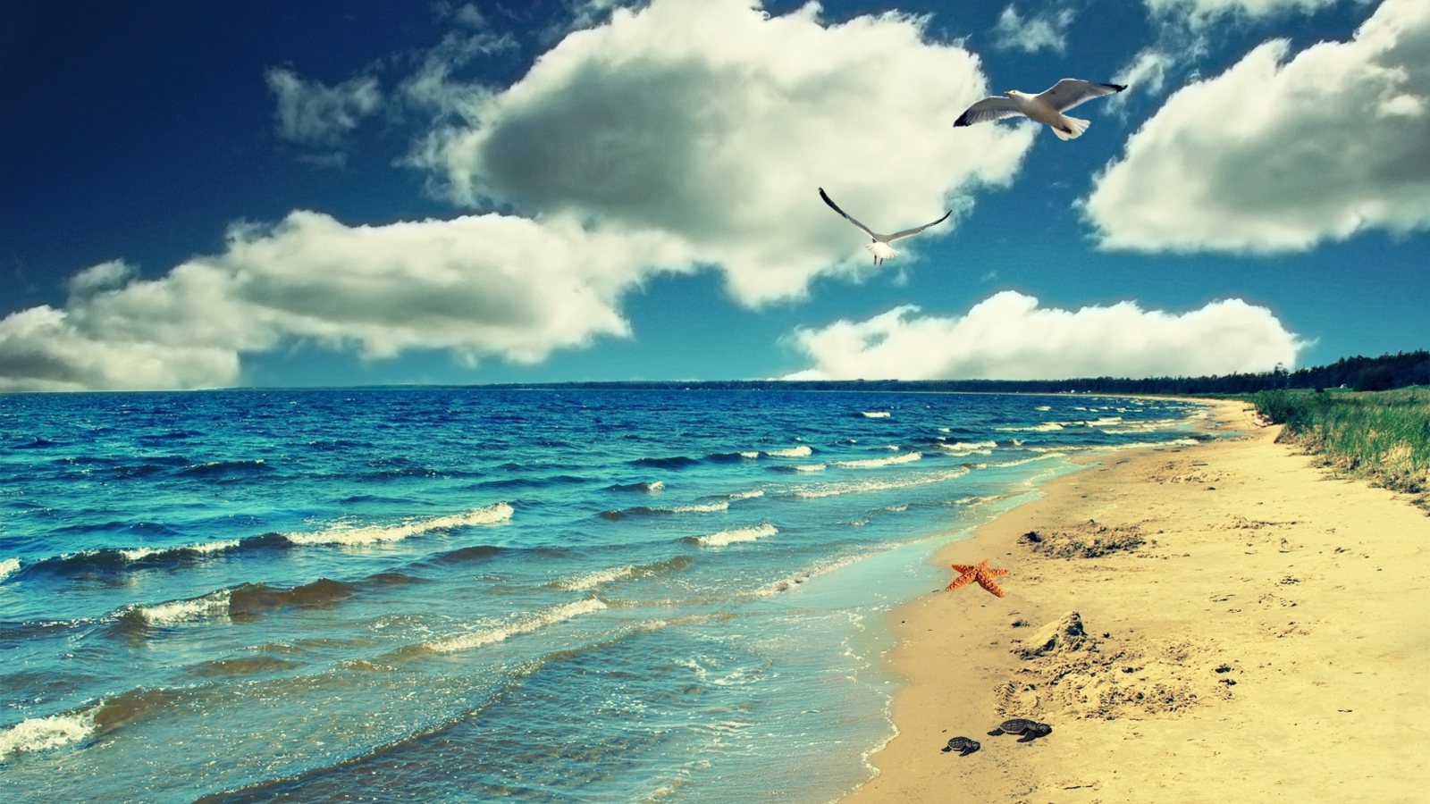 Perfect Ocean Beach screenshot #1 1600x900