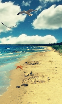 Perfect Ocean Beach screenshot #1 240x400