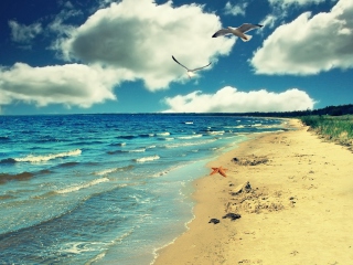 Fondo de pantalla Perfect Ocean Beach 320x240