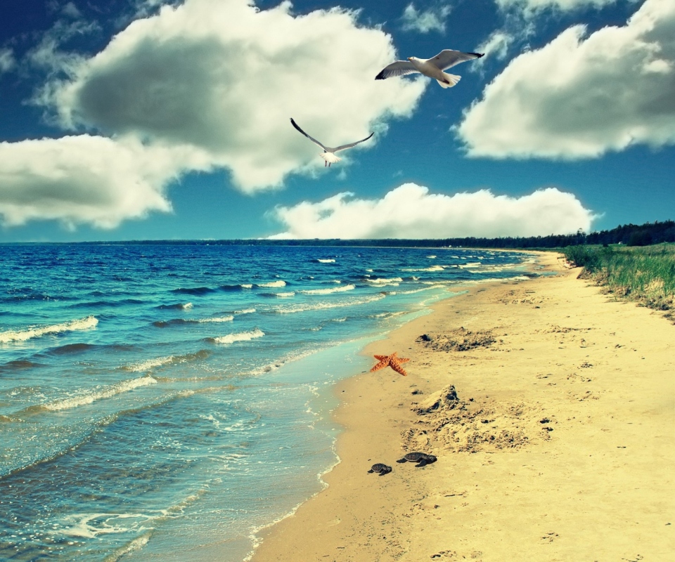 Perfect Ocean Beach screenshot #1 960x800