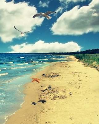 Perfect Ocean Beach sfondi gratuiti per iPhone 4S